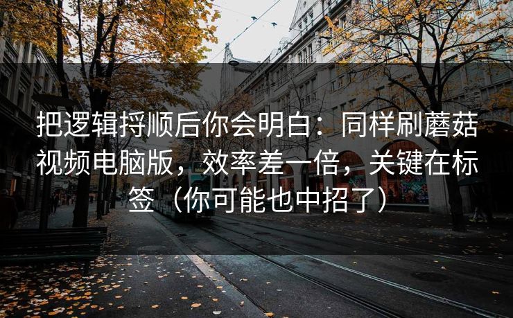 把逻辑捋顺后你会明白：同样刷蘑菇视频电脑版，效率差一倍，关键在标签（你可能也中招了）
