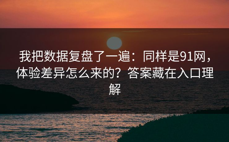 我把数据复盘了一遍：同样是91网，体验差异怎么来的？答案藏在入口理解