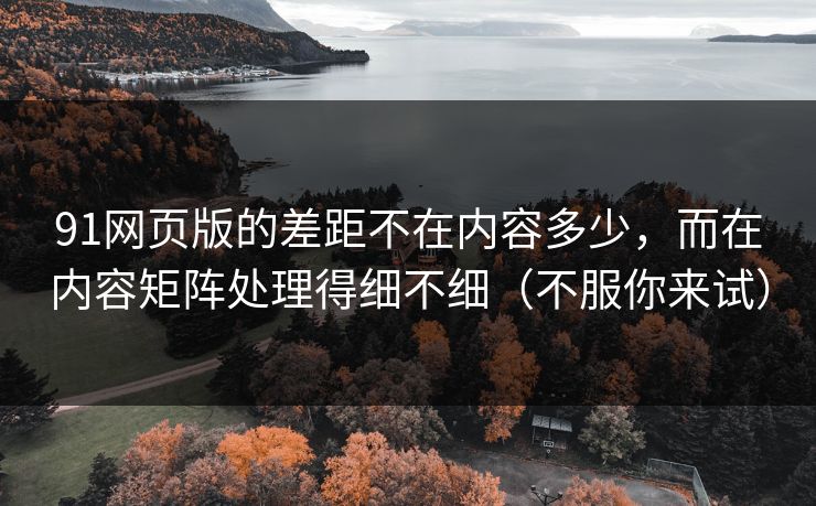 91网页版的差距不在内容多少，而在内容矩阵处理得细不细（不服你来试）