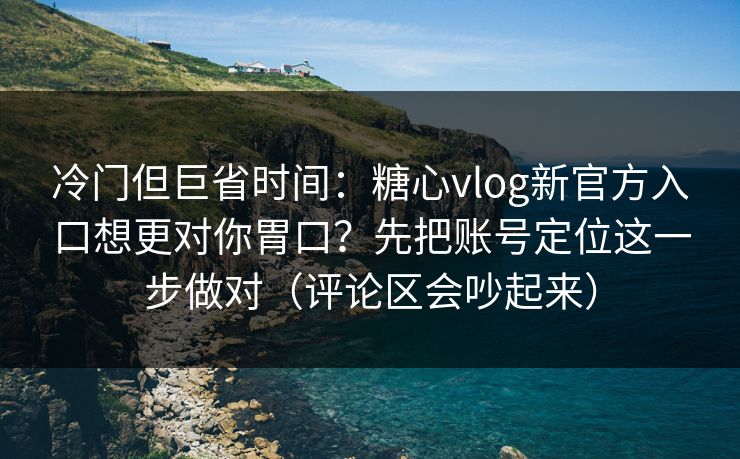 冷门但巨省时间：糖心vlog新官方入口想更对你胃口？先把账号定位这一步做对（评论区会吵起来）