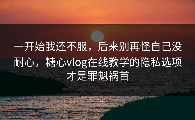 一开始我还不服，后来别再怪自己没耐心，糖心vlog在线教学的隐私选项才是罪魁祸首